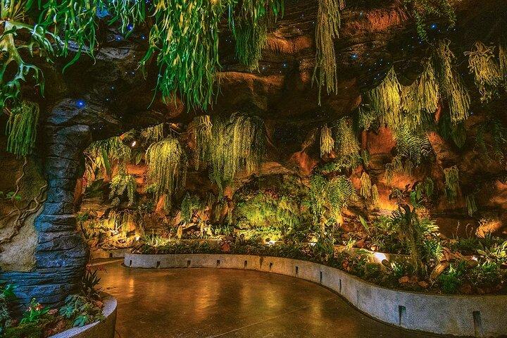 Gardens by the Bay Cloud Forest Flower Dome Options Supertree