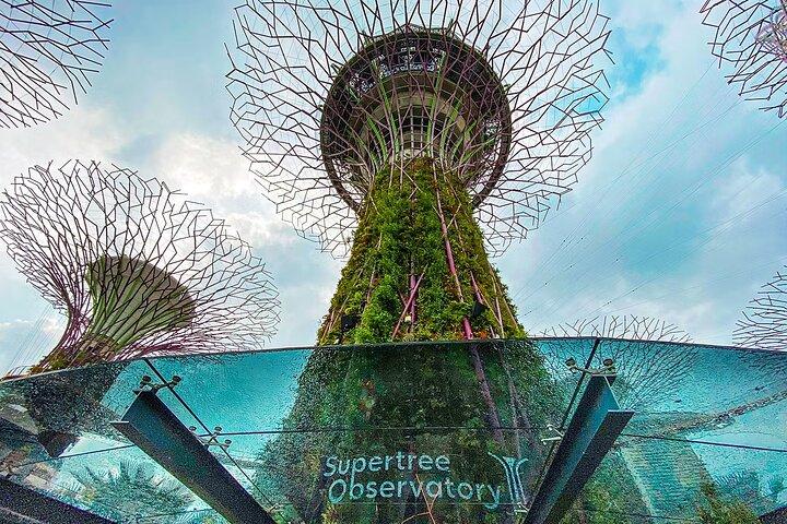 Gardens by the Bay Cloud Forest Flower Dome Options Supertree