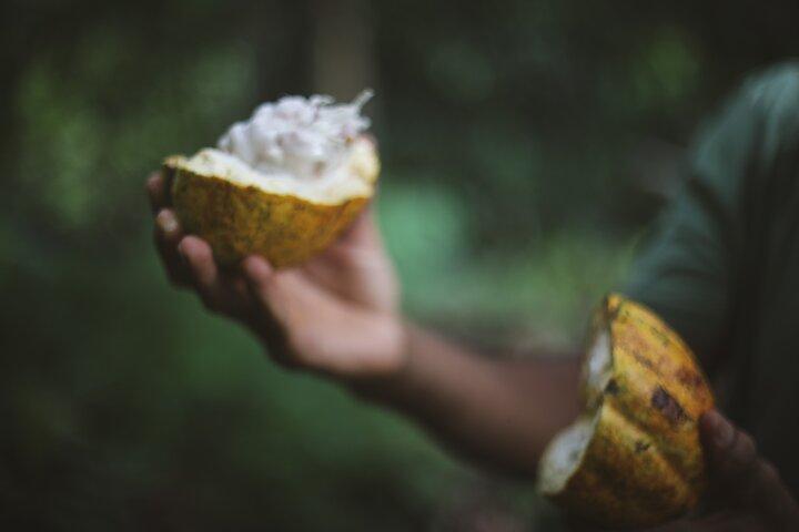 Rum and Chocolate Pairing Experience in Puerto Viejo de Talamanca