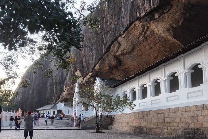 Sigiriya and Dambulla Private Day Trip with Safari from Colombo