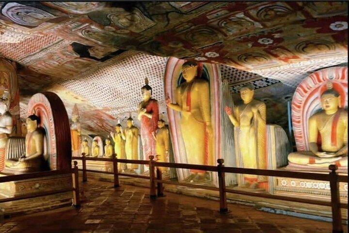 Sigiriya and Dambulla Private Day Trip with Safari from Colombo