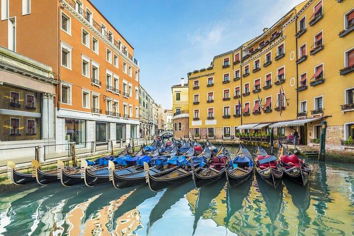 Venice from Trieste Port - Transfer or Tour for Cruise Passengers
