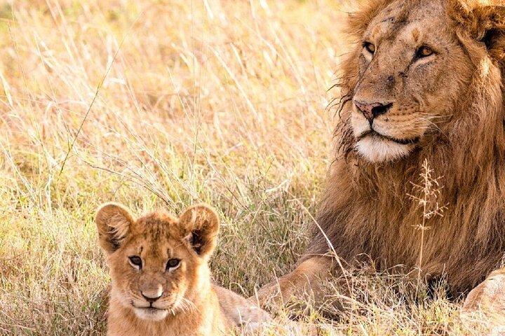 Nairobi: 3 Day Private Safari to Samburu National Reserve