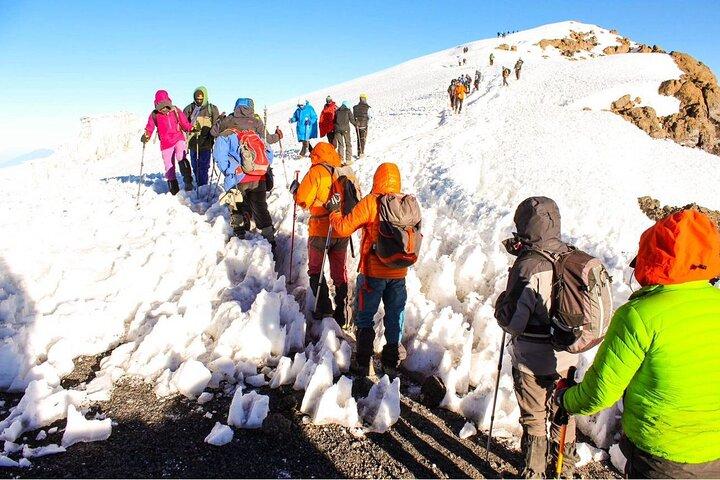 7-Day Machame Route Hiking Kilimanjaro Mountain