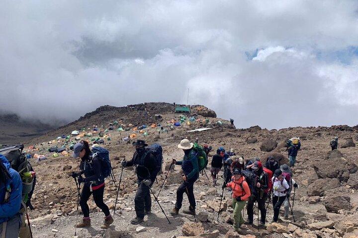 7-Day Machame Route Hiking Kilimanjaro Mountain