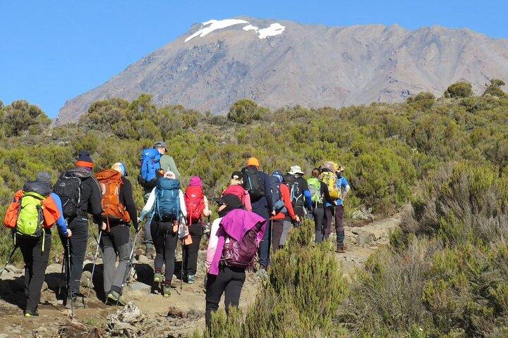 7-Day Machame Route Hiking Kilimanjaro Mountain