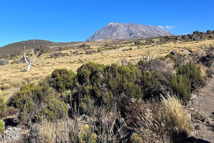 7-Day Machame Route Hiking Kilimanjaro Mountain