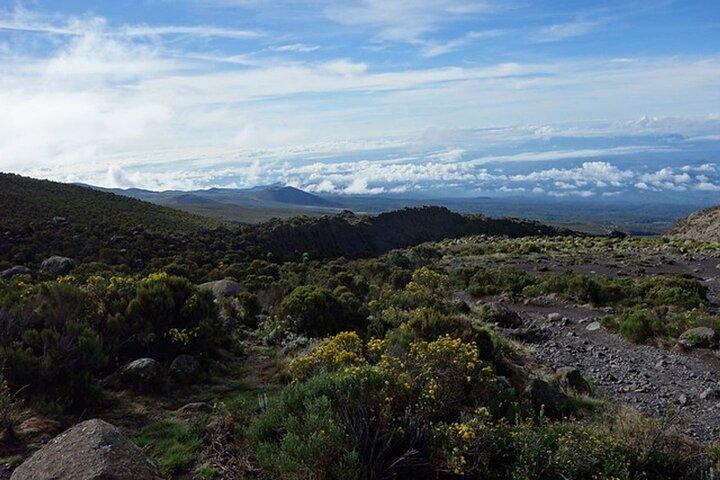 5 Day Marangu Route Hiking to Mt. Kilimanjaro