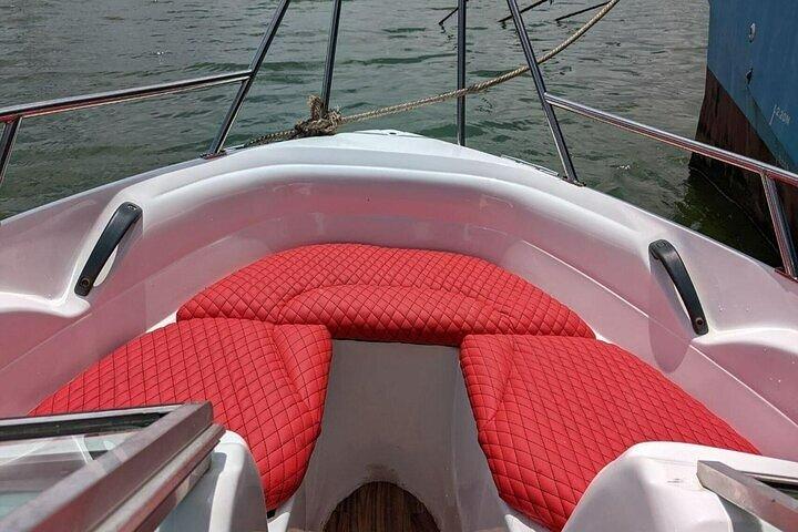 Whale Watching in Speed Boat in Mirissa