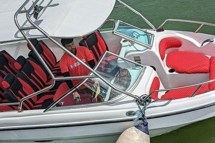 Whale Watching in Speed Boat in Mirissa