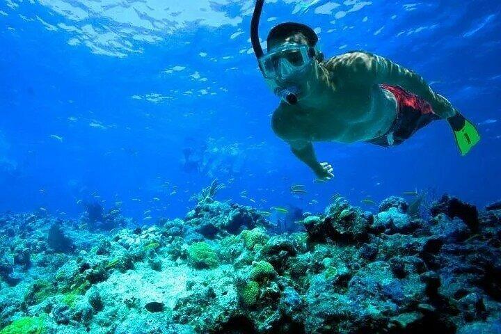 Snorkeling in Port City