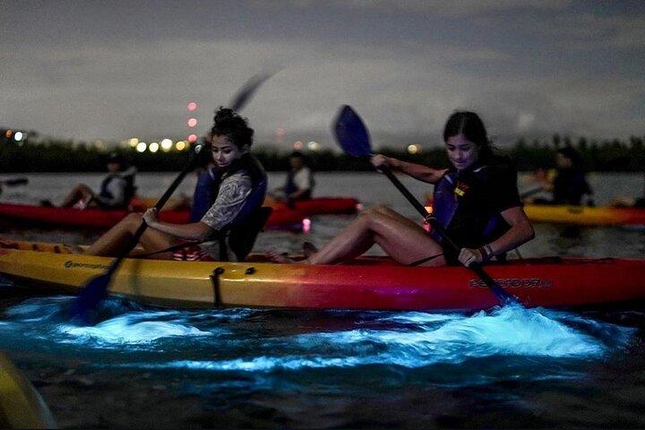 Bioluminescent Bay Kayak Tour in Fajardo Puerto Rico