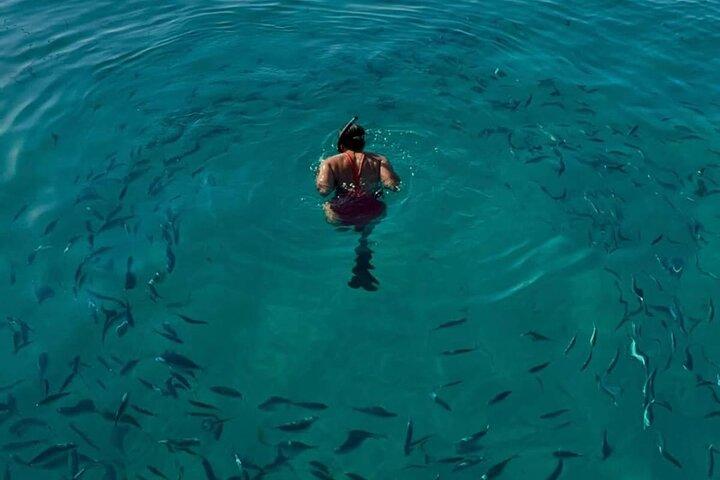 Cannes: Lérins Islands Escape – Swim, Snorkel & Relax