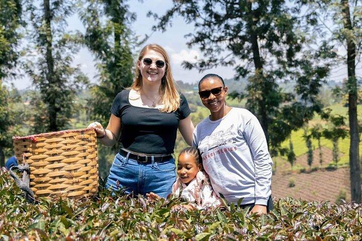Nairobi Purple Tea Farm Day Trip