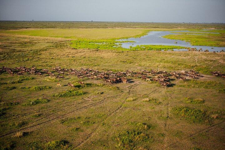 11 Days Tanzania Safari and Zanzibar Beach Tour