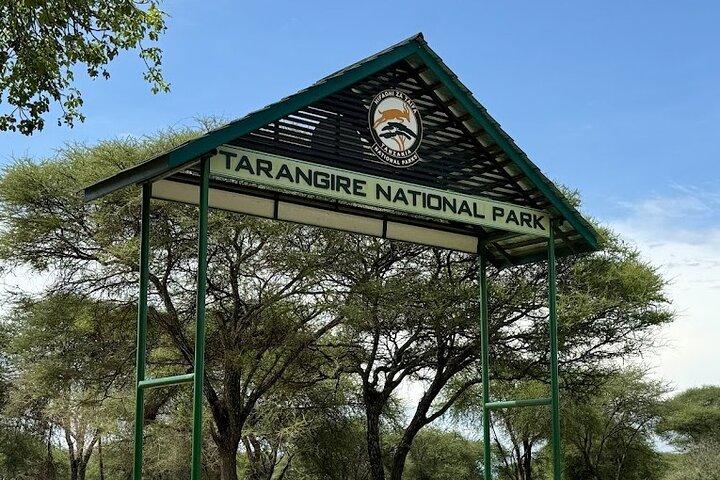 11 Days Tanzania Safari and Zanzibar Beach Tour