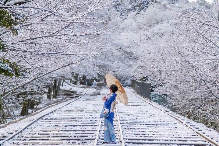 Kyoto Private Customized Day Tour with Guide