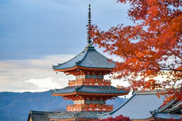 Kyoto Private Customized Day Tour with Guide