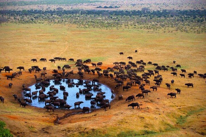 13 Days Wildlife Safari Nairobi to Diani Sandy Beach Tour