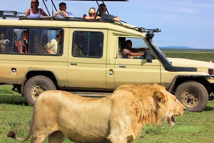 Nairobi National Park Private Tour Experience with 4WD Jeep.