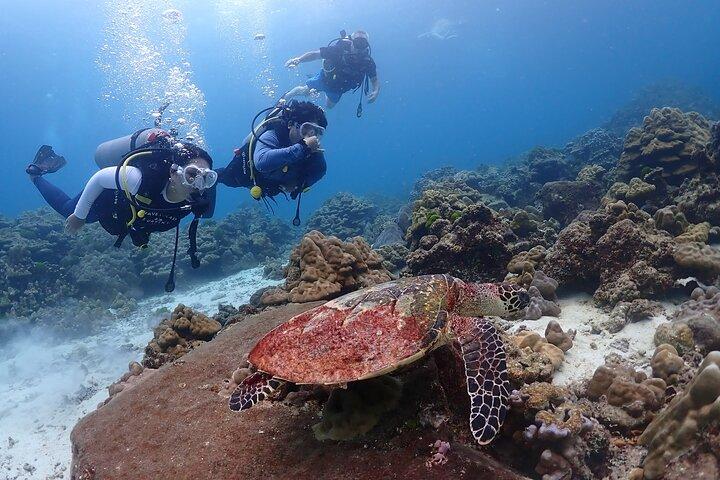 Phuket Scuba Diving Racha Islands for All Level Divers