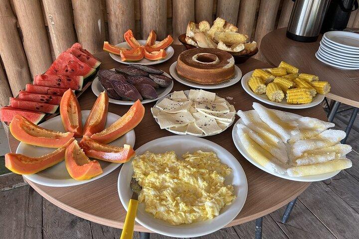 Three Days in the Amazon Jungle with Jungle Lodge from Manaus Am