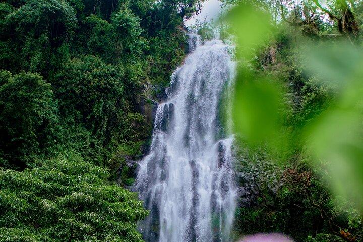 Materuni Waterfalls & Chemka Hot Springs from Arusha/Moshi