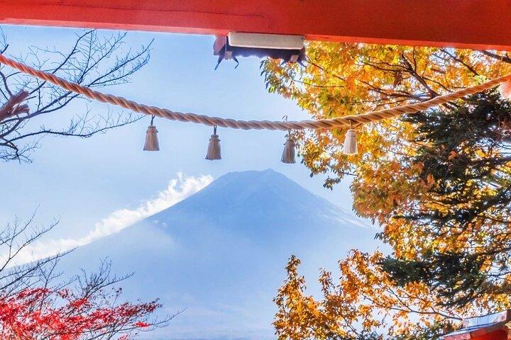 Mt. Fuji Oshino Hakkai and Gotemba Outlets Tour