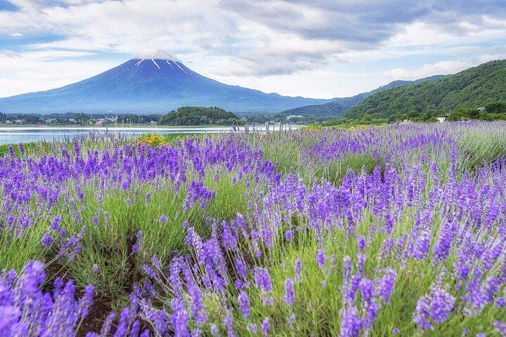 Mt. Fuji Oshino Hakkai and Gotemba Outlets Tour