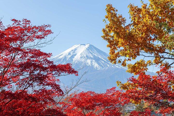 Mt. Fuji Oshino Hakkai and Gotemba Outlets Tour