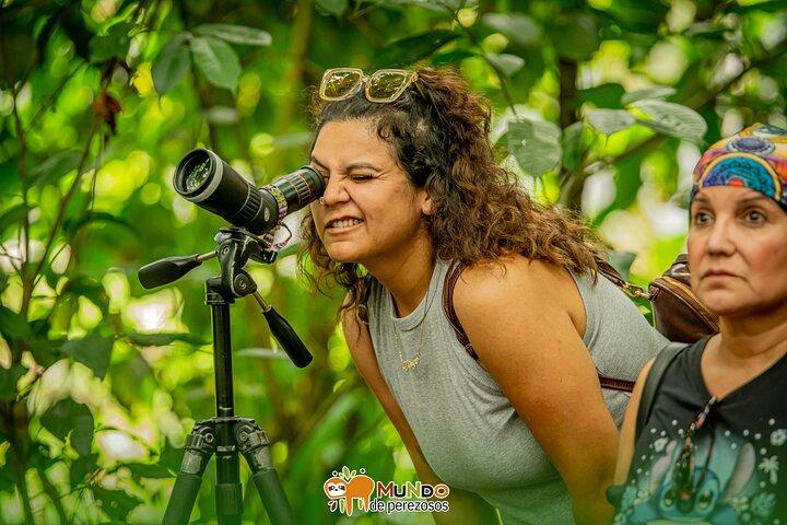 Tour of sloths, exotic birds, frogs.
