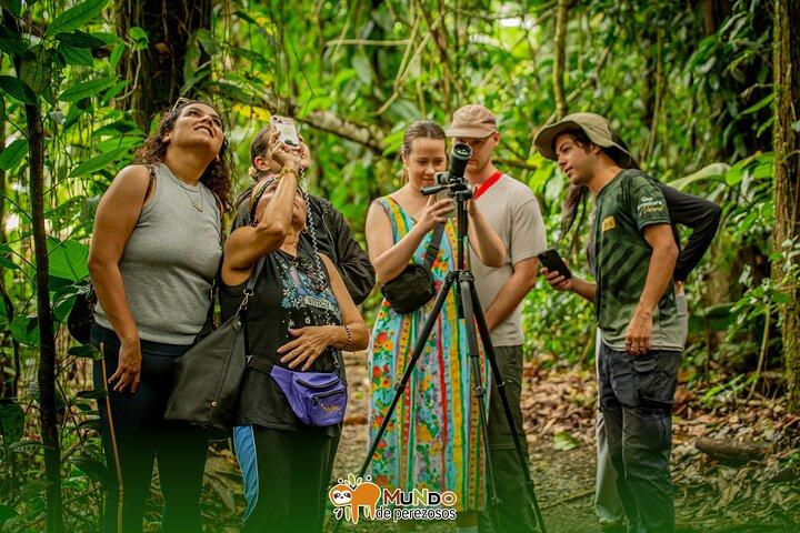 Tour of sloths, exotic birds, frogs.