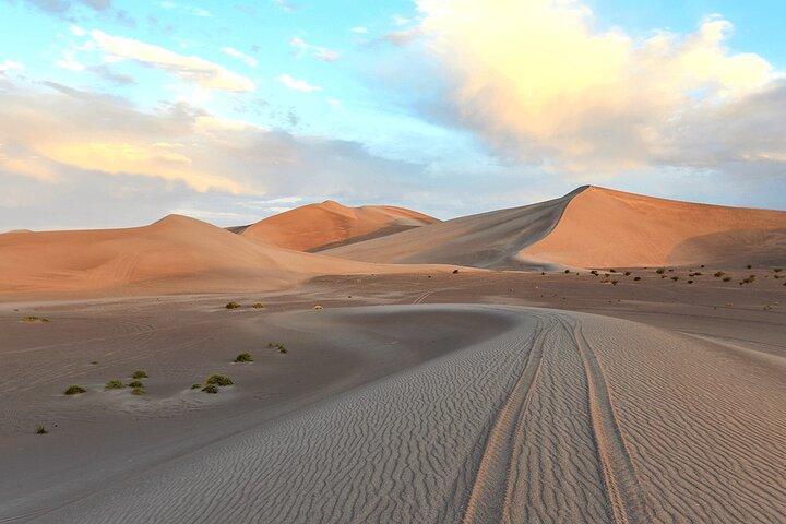 Thrilling 4-Hour Dune Bashing & Camel Ride Safari to Inland Sea