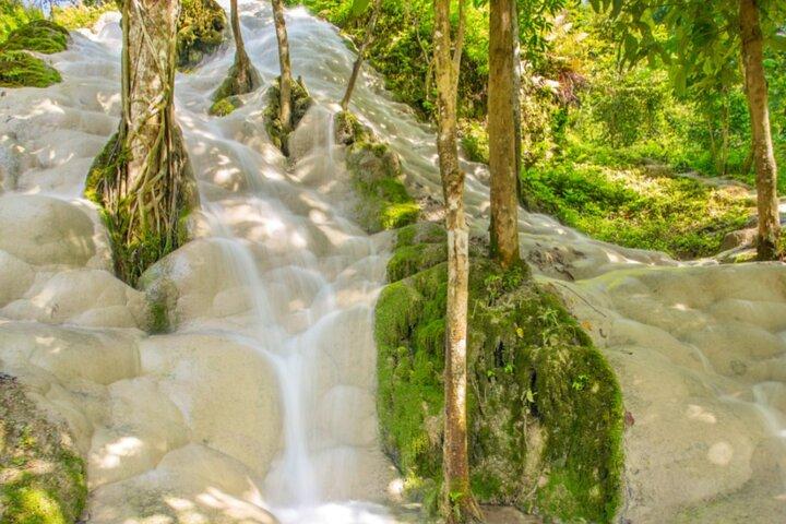 Chiang Mai Elephant Sanctuary and Sticky Waterfall Day Tour