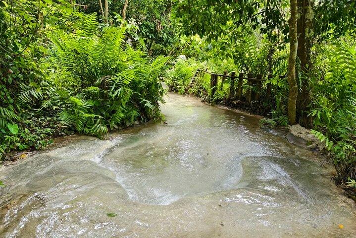 Chiang Mai Elephant Sanctuary and Sticky Waterfall Day Tour