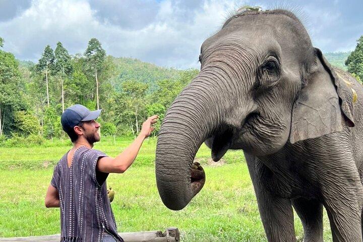 Best Seller | 2-Day Jungle Trek: Elephants, Raft & Karen Life