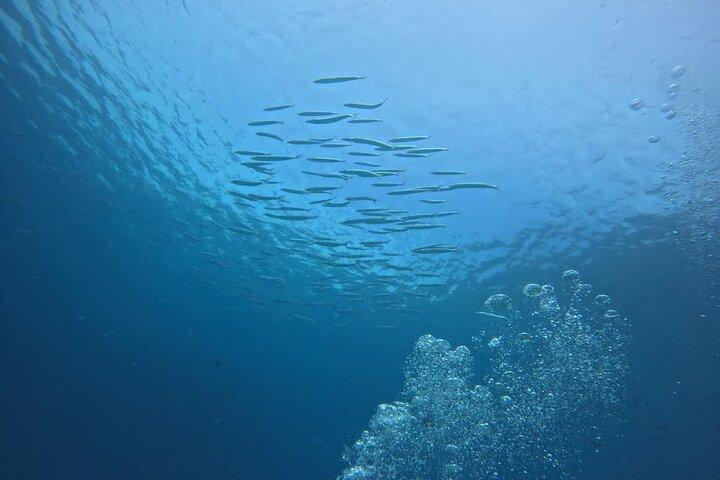 Phuket Racha PADI Discover Scuba Diving 2 Dives and GoPro