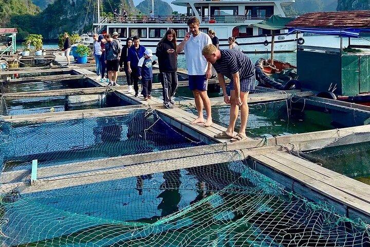 Uncover the Beauty of Cat Ba Island & Lan Ha Bay 3D2N Adventure
