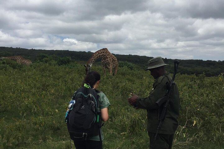 Mount Meru Trek and Exclusive Walking Safari 4 Days