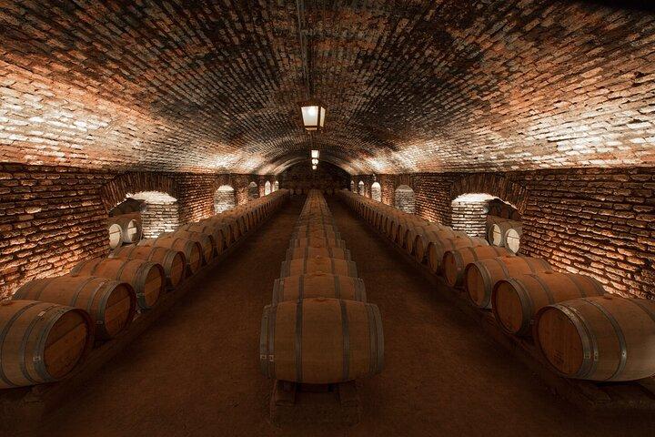 Premium Guided Wine Experience at Concha y Toro – Sensory Museum