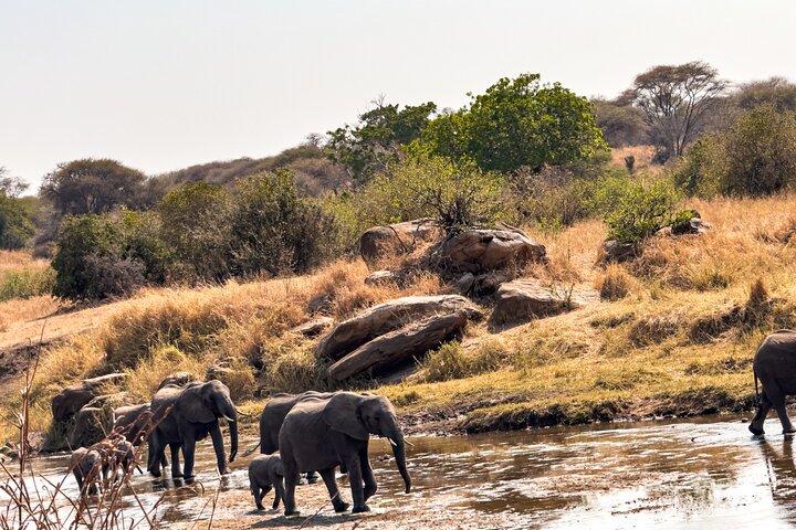 A Private Day Trip in Tarangire National Park