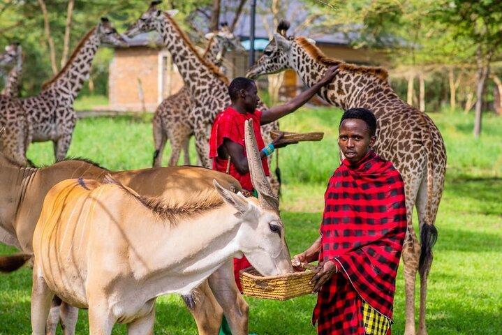 1 Day Trip to Serval Wildlife Sanctuary and Maasai village tour