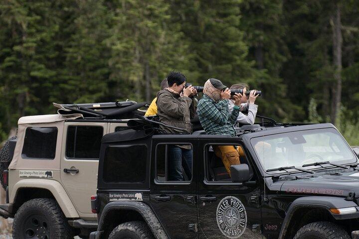 Whistler Bear Tour