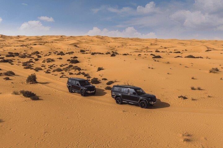 Luxury Sunrise Balloon Flight with Desert Breakfast and Falconry