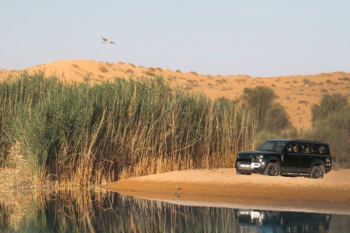 Dubai: Luxury Morning Desert Conservation Drive