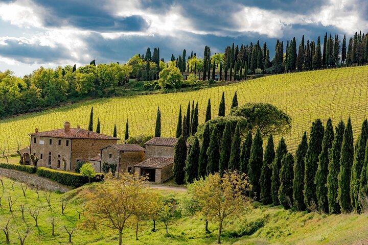 From Florence Chianti Wine Tour with Tastings Half Day
