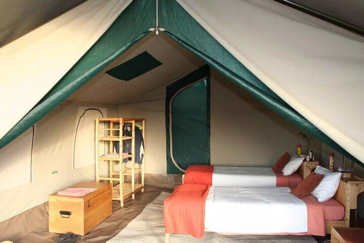 Perfect 2-Day Tanzania Safari to Tarangire and Ngorongoro Tour