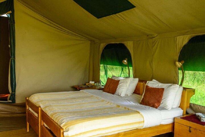 Perfect 2-Day Tanzania Safari to Tarangire and Ngorongoro Tour