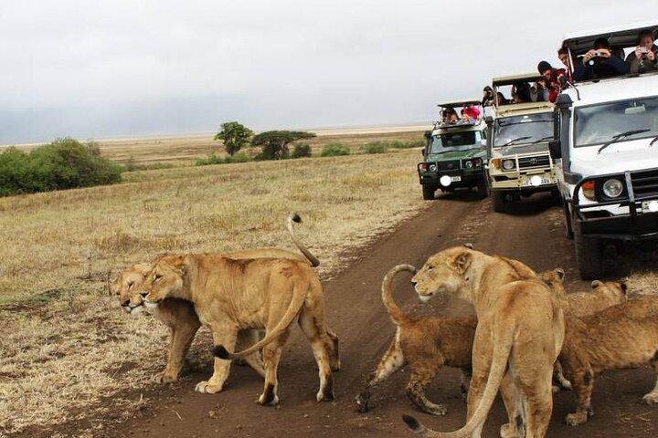 12 Days Kenya and Tanzania Safari
