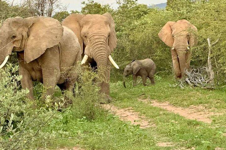 Kruger Park Sunset Drive